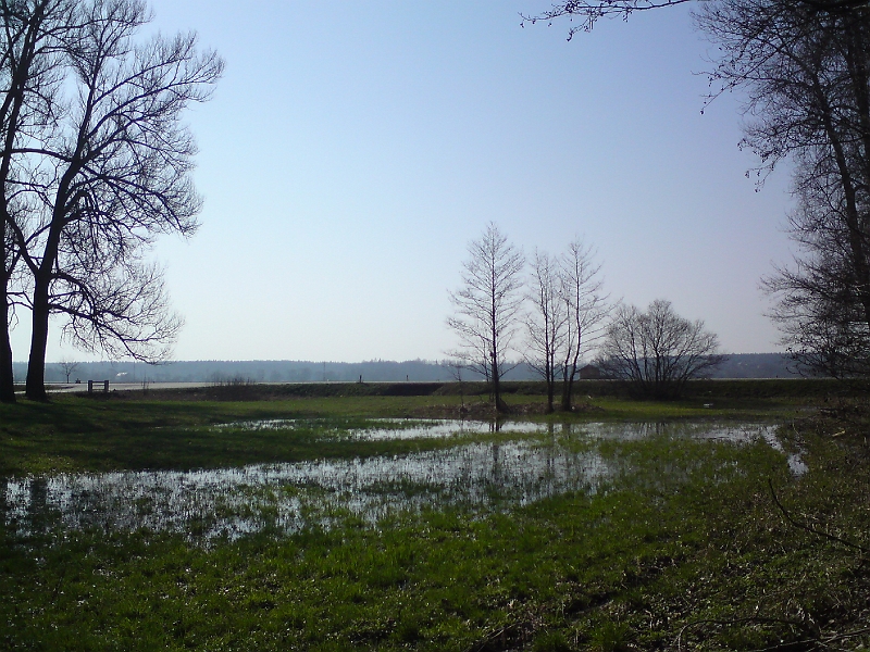 Alba-Cestice-45.jpg - Pohled z levého břehu na zamokřenou louku, v pozadí křižovatka, kde silnice z Rašovic vstupuje do státní silnice I/11