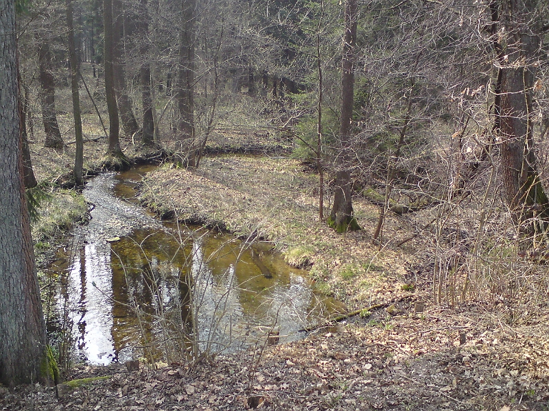 Alba-Petrovice-nad-Orlici-32.jpg - Odtok z rybníka za několik desítek metrů posílí Albu