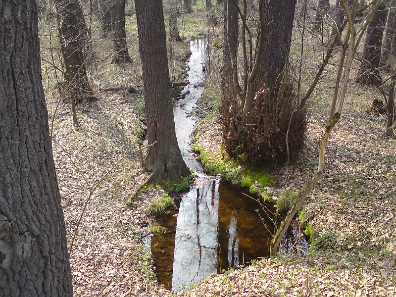 Alba-Petrovice-nad-Orlici-35.jpg - Odtok z dalšího rybníka v Houkvici má barvu slatin, ale na Šumavě opravdu nejsme