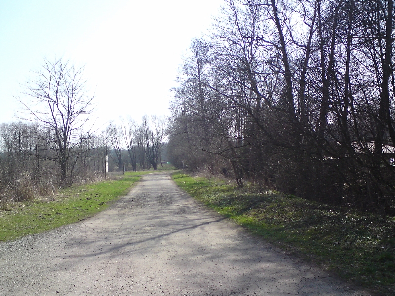 Alba-Tyniste-nad-Orlici-27.jpg - Cesta podél pravého břehu Alby je častým cílem procházek